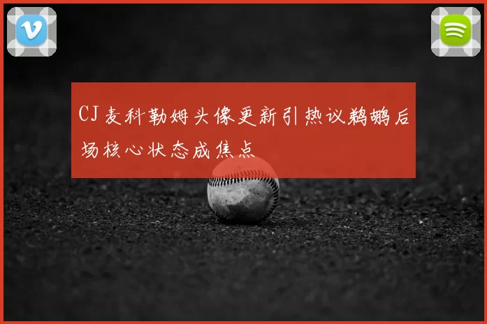 CJ麦科勒姆头像更新引热议鹈鹕后场核心状态成焦点