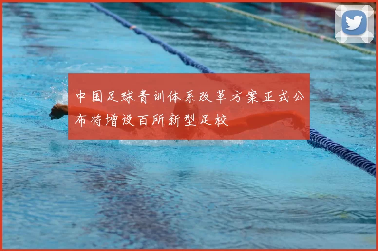 中国足球青训体系改革方案正式公布将增设百所新型足校