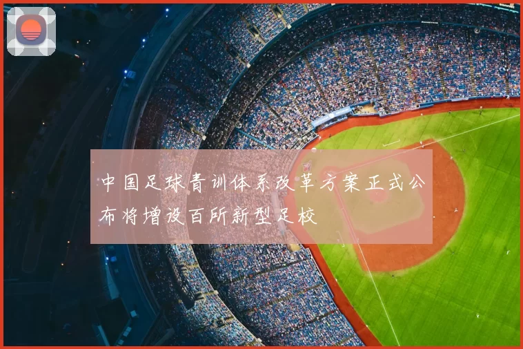 中国足球青训体系改革方案正式公布将增设百所新型足校